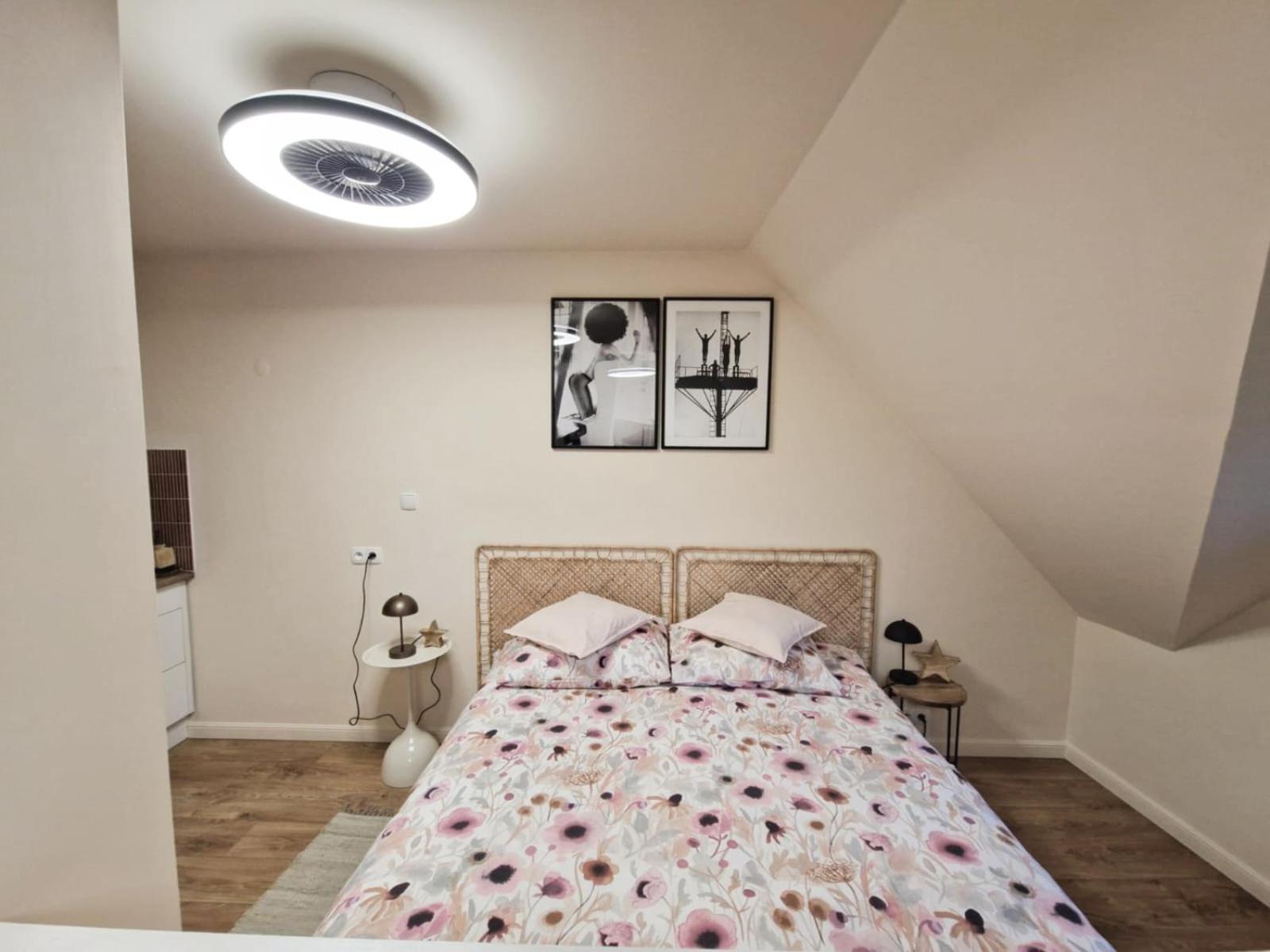 Studio Annabel Jelenia Gora Luaran gambar